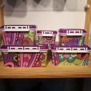 FOOD CONTANINER 5 PCS SET 16631
